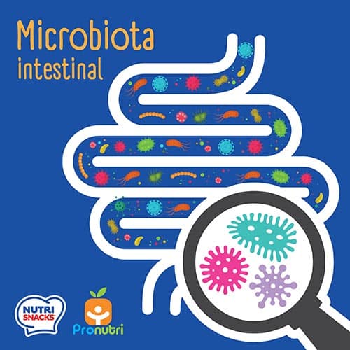 Microbiota intestinal